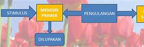 Jelaskan Cara Kerja Memori Manusia